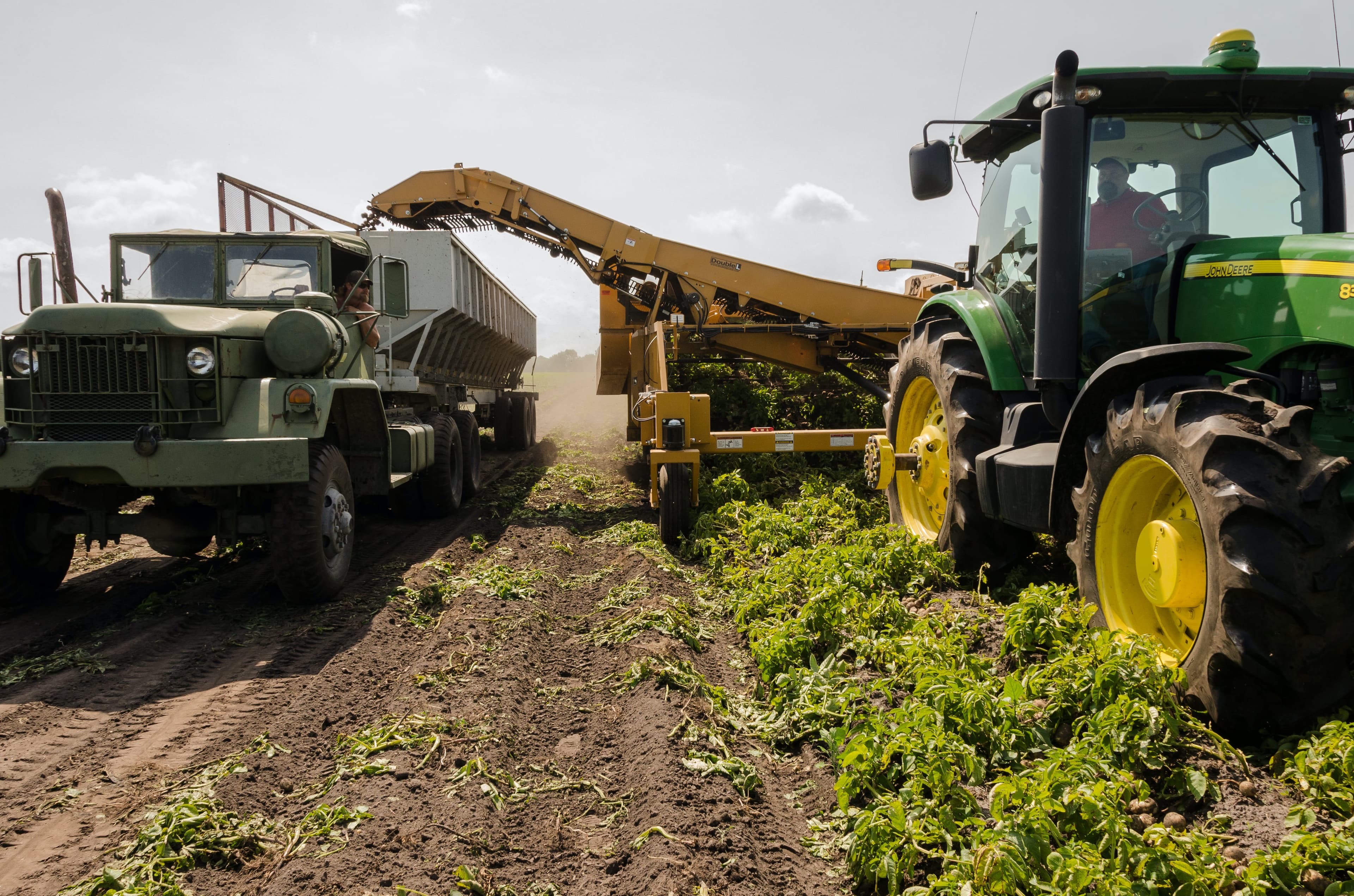 Agriculture & agro-alimentaire