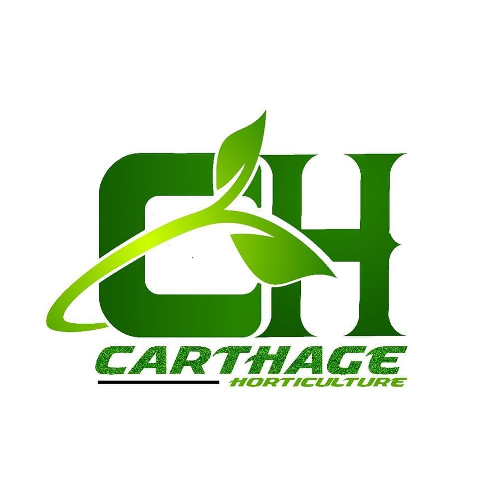 CARTHAGE HORTICULTURE COMPANY