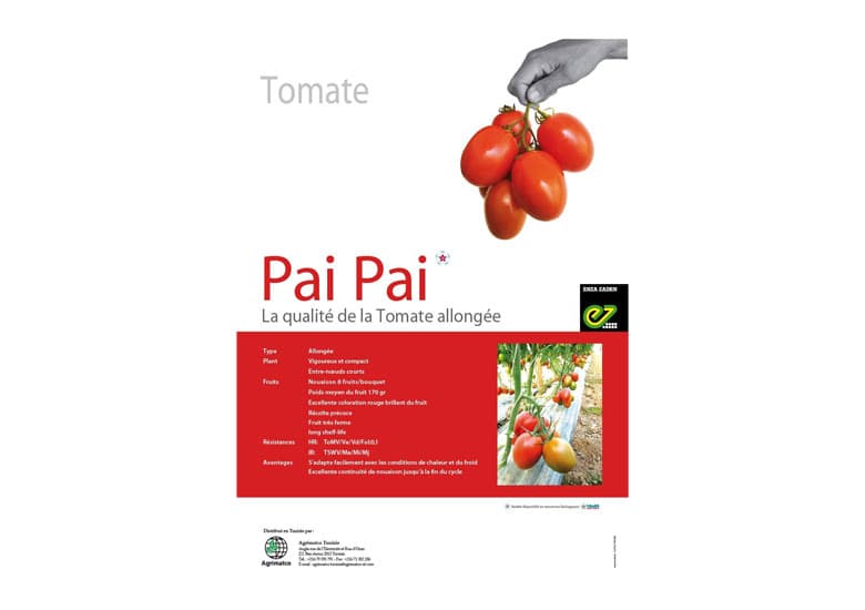 Tomate