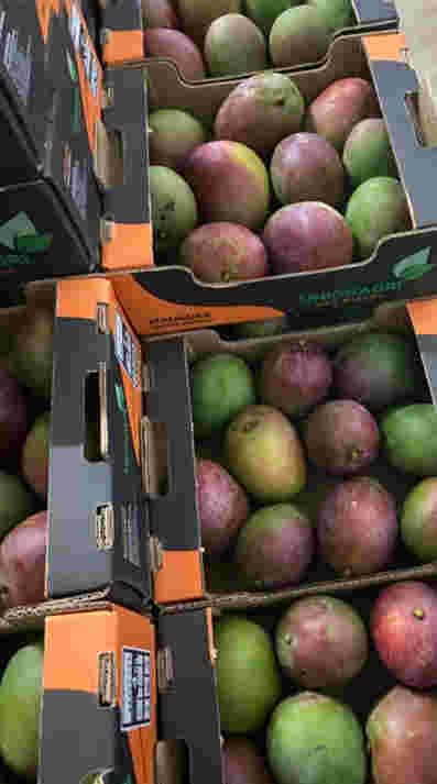 Commerce en fruits