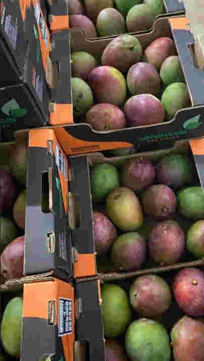 Commerce en fruits