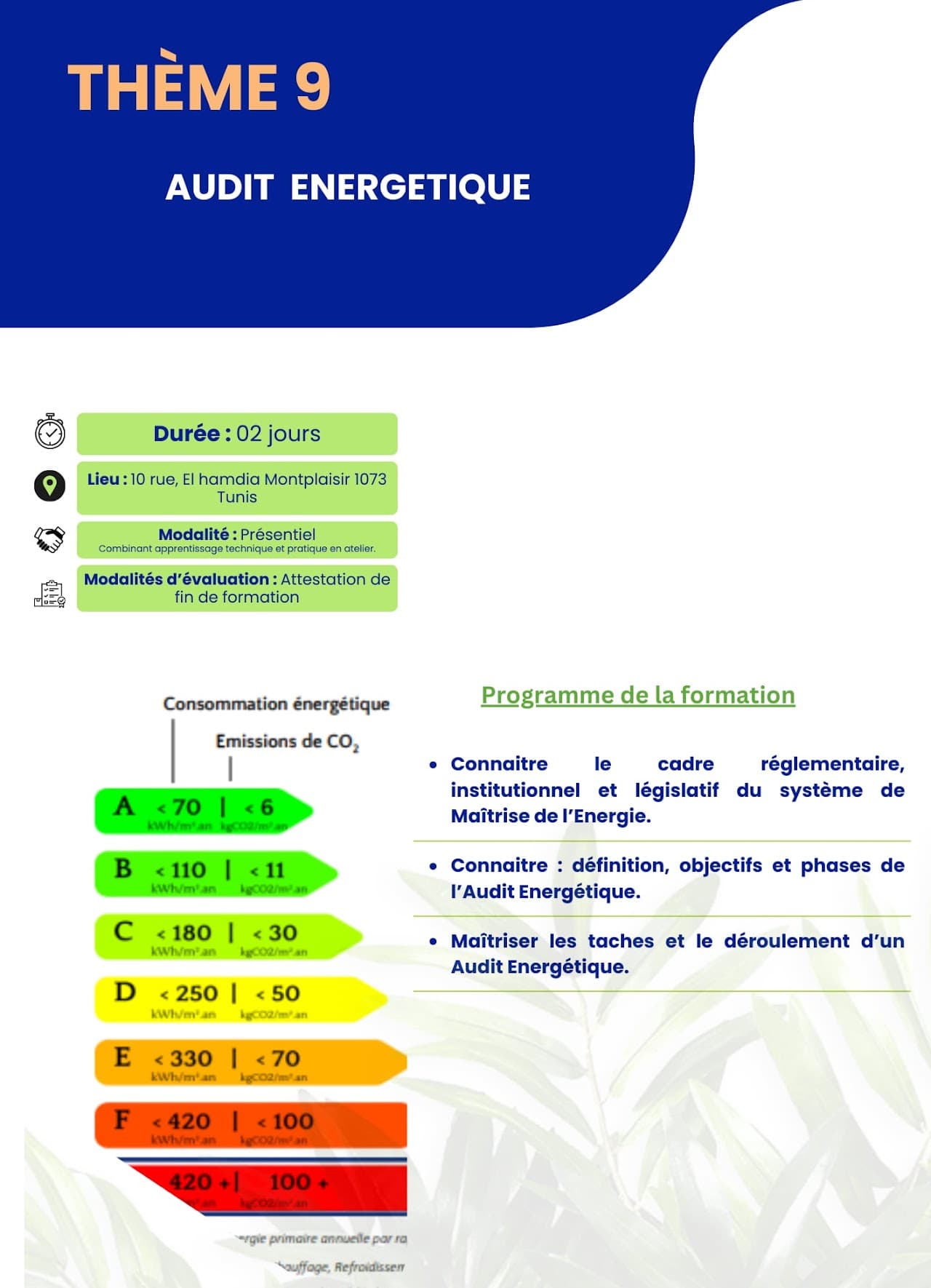 Audit ENERGITIQUE
