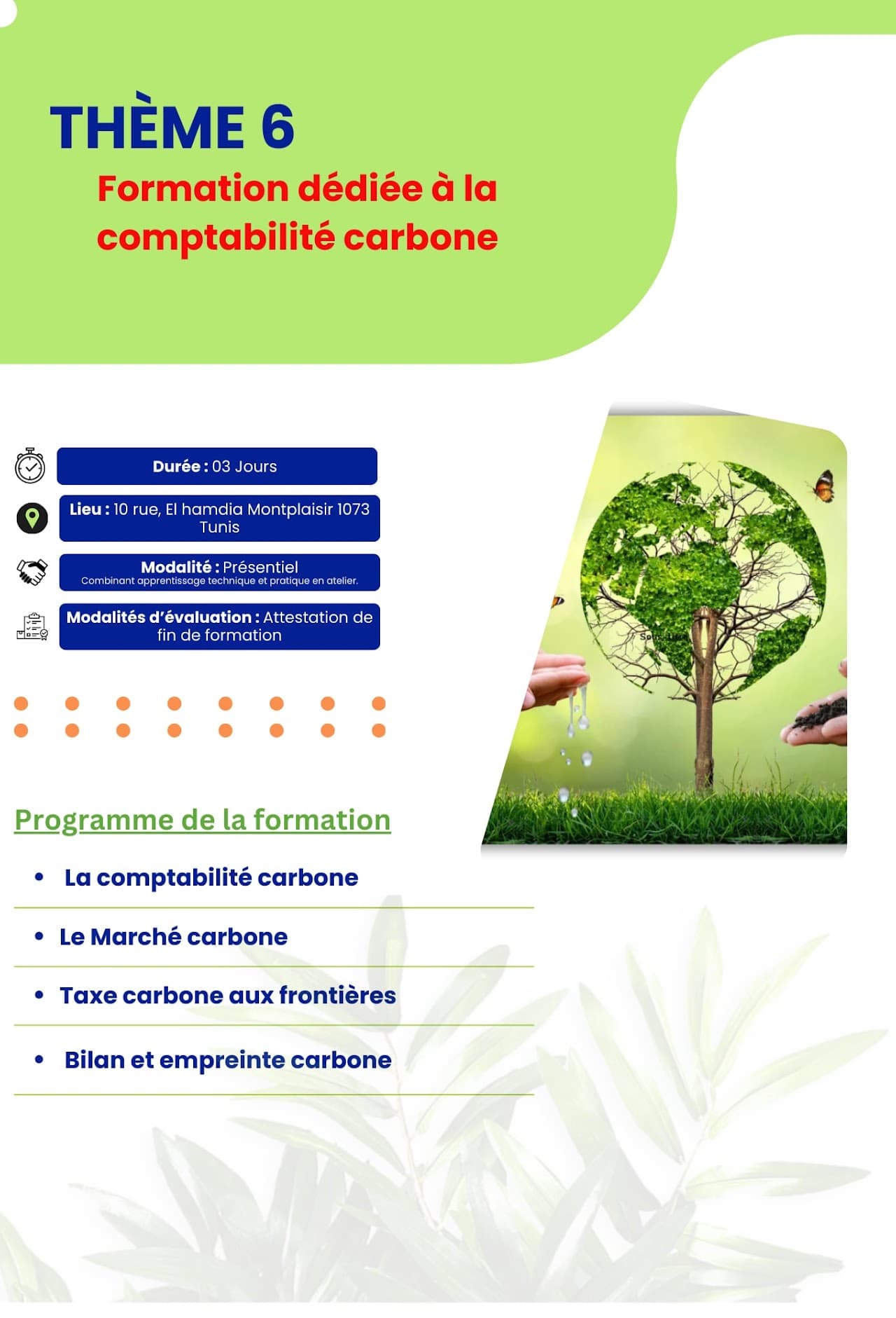 Comptabilite carbone